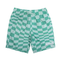 Ripndip Shorts|Swim Shorts<Checked Swim Shorts (Olive/Pine)