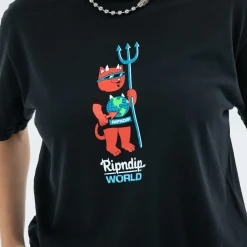 Ripndip Short Sleeve Tees|Stocking Stuffers<DevilNerm World Tee (Vintage Black)