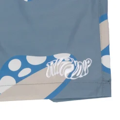 Ripndip Shorts|Swim Shorts<Euphoria Swim Shorts (Light Slate)