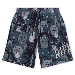 Ripndip Shorts<Family Tree Basketball Shorts (Black)