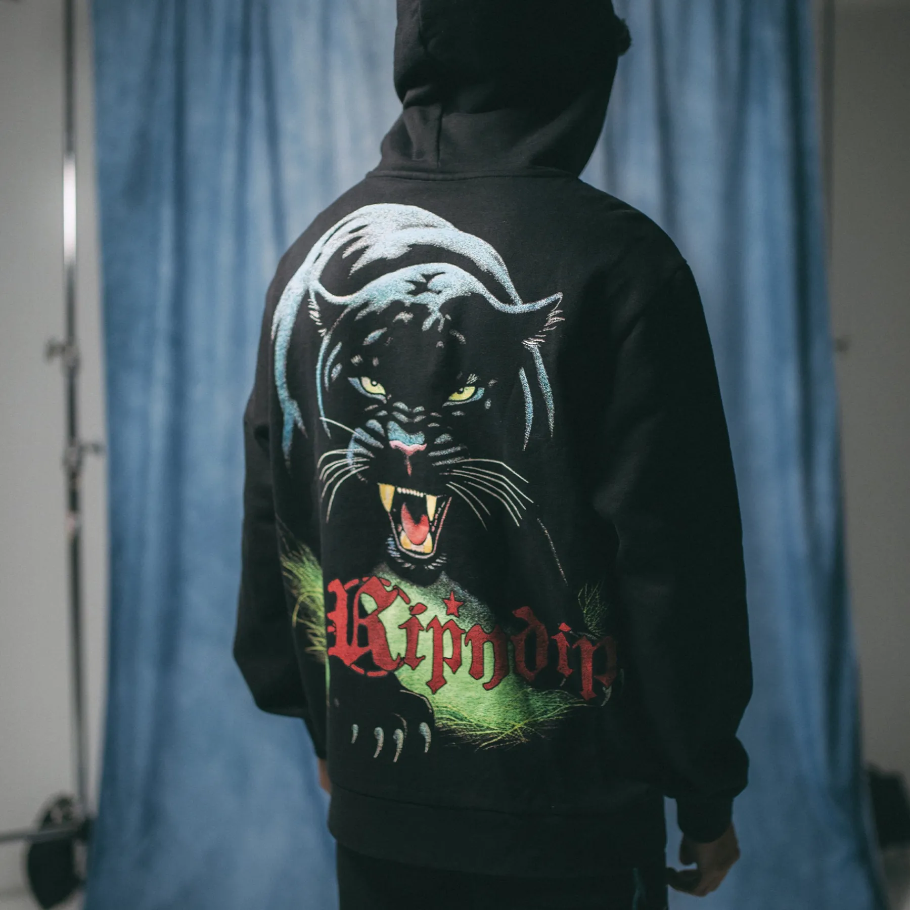 Ripndip Hoodies / Crewnecks<Fein Hoodie (Black)