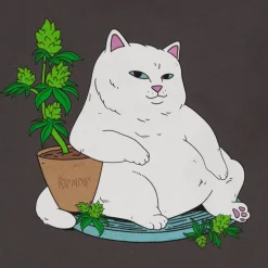 Ripndip Hoodies / Crewnecks<Flower Boy Hoodie (Charcoal)