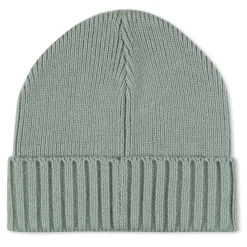 Ripndip Beanies|Stocking Stuffers<Lord Nermal Beanie  (Sage)