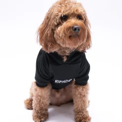 Ripndip Hoodies / Crewnecks|Stocking Stuffers<Lord Nermal Pet Hoodie (Black)