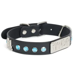Ripndip Stocking Stuffers|Pet Supplies<Lord Nermal Studded Pet Collar (Black)