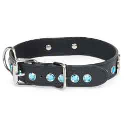 Ripndip Stocking Stuffers|Pet Supplies<Lord Nermal Studded Pet Collar (Black)