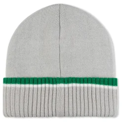 Ripndip Beanies<Lord Nermal Team Spirit Beanie (Green/Grey)