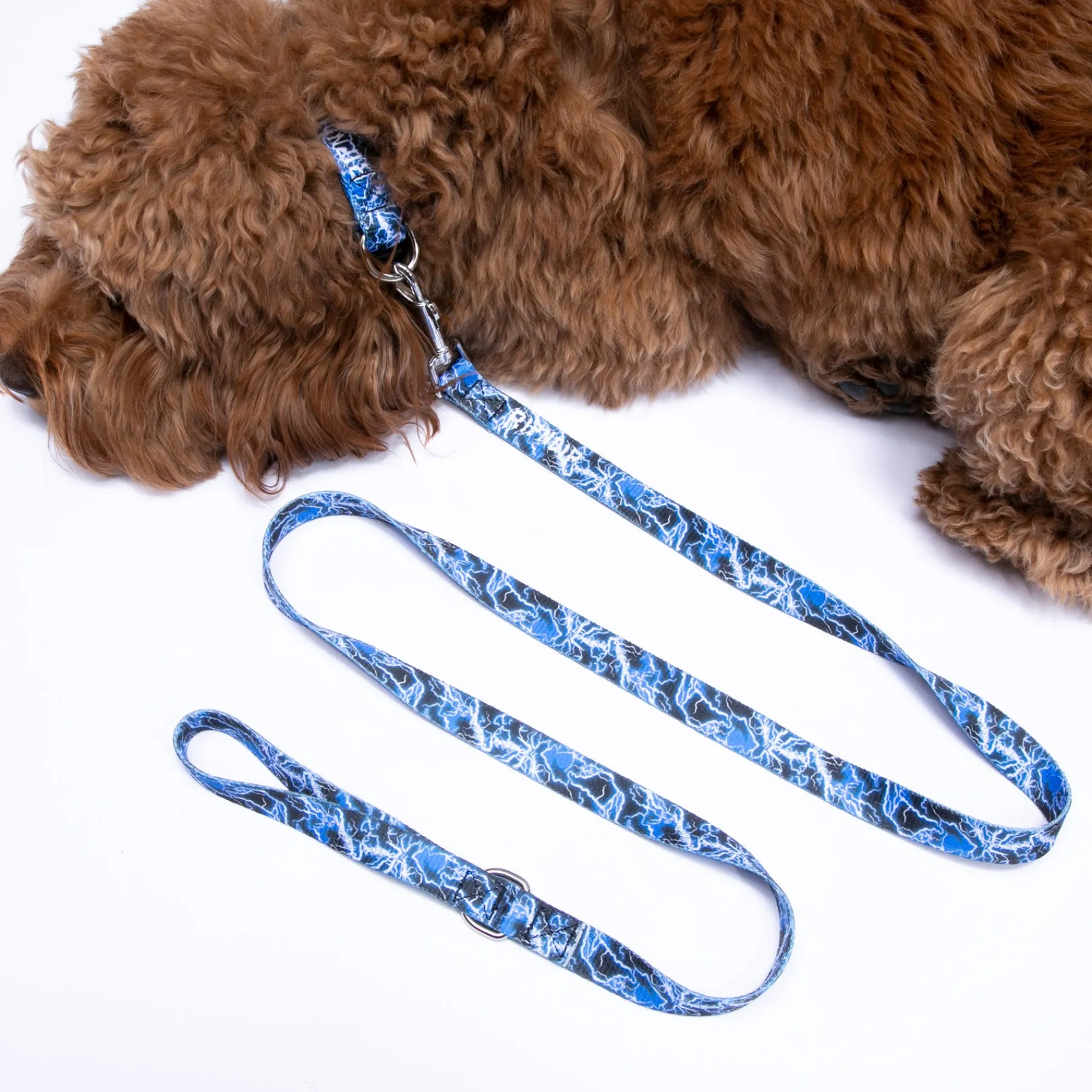 Ripndip Stocking Stuffers|Pet Supplies<Nikola Pet Leash