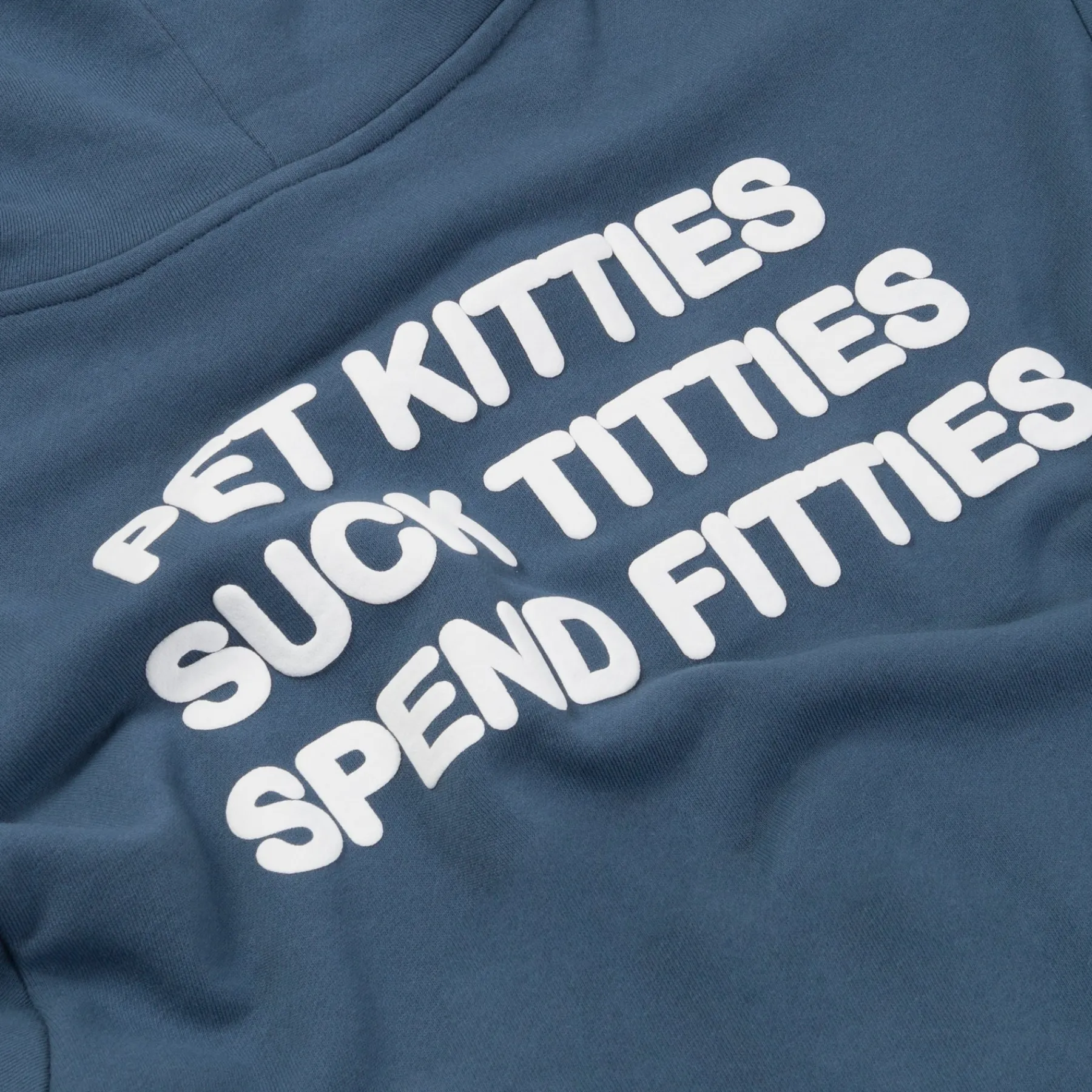 Ripndip Hoodies / Crewnecks|Pet Supplies<Pet Kitties Hoodie (Storm Blue)