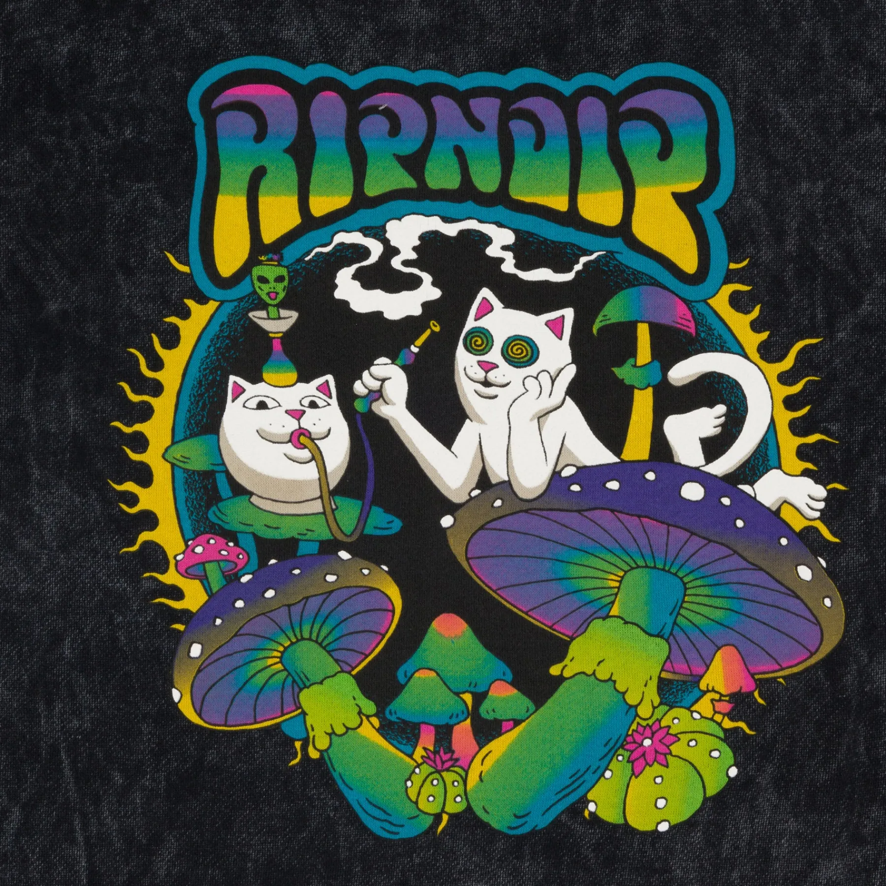 Ripndip Hoodies / Crewnecks<Psychedelic Garden Hoodie (Black Mineral Wash)