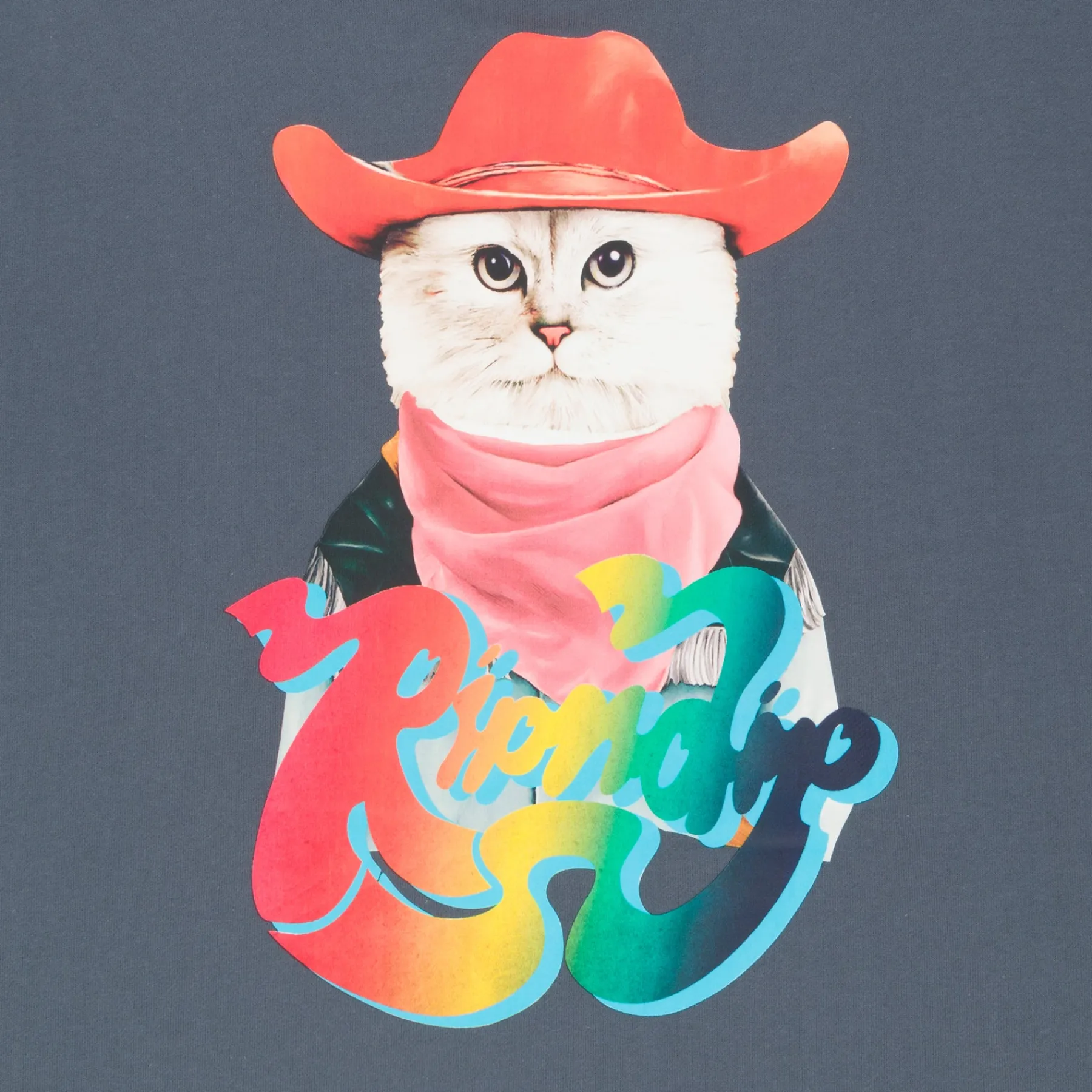Ripndip Hoodies / Crewnecks<Yee Haw Hoodie (Storm Blue)